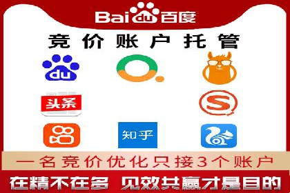 SEM搜索引擎优化实战案例：从失败到成功的优化历程